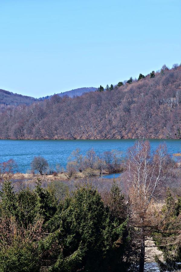 Drozdowka Nad Solina - Chata Z Kominkiem Extérieur photo